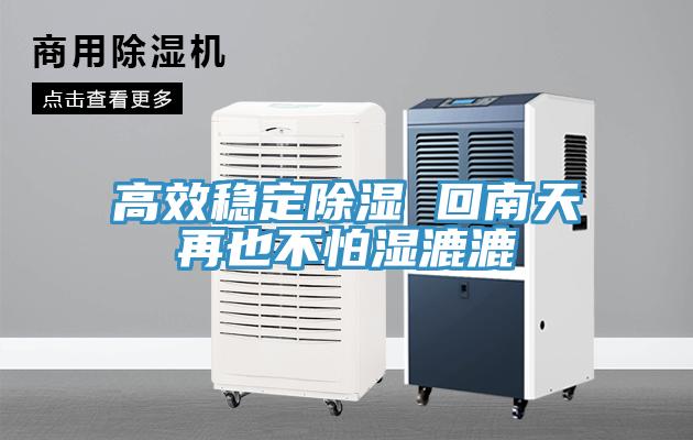 高效穩定除濕 回南天再也不怕濕漉漉