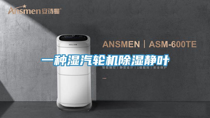 一種濕汽輪機除濕靜葉