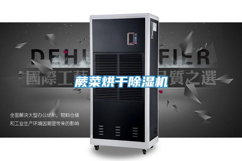 蕨菜烘干除濕機