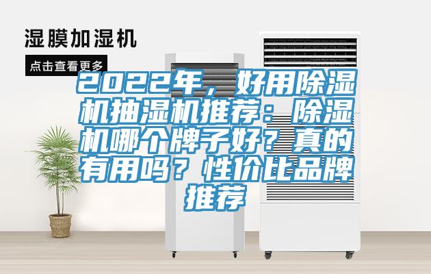 2022年，好用除濕機抽濕機推薦：除濕機哪個牌子好？真的有用嗎？性價比品牌推薦