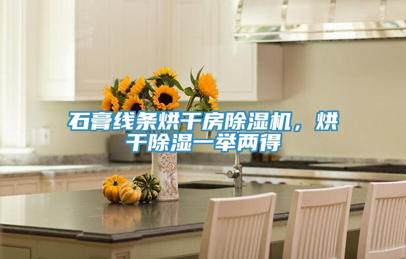 石膏線條烘干房除濕機(jī)，烘干除濕一舉兩得