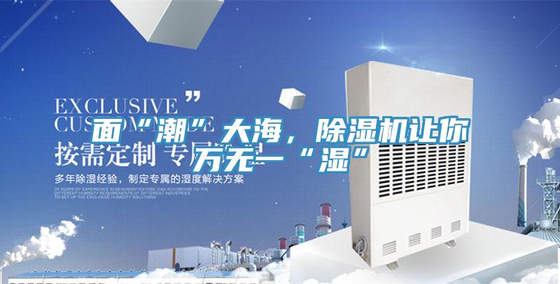 面“潮”大海，除濕機讓你萬無一“濕”