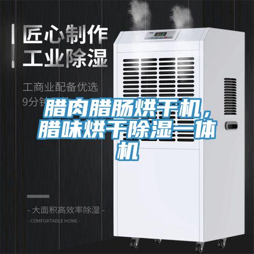 臘肉臘腸烘干機，臘味烘干除濕一體機