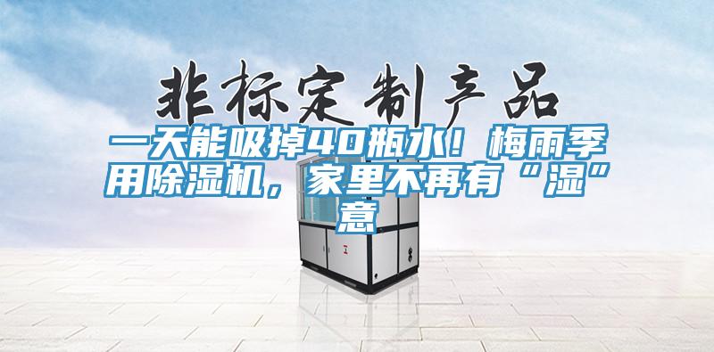 一天能吸掉40瓶水！梅雨季用除濕機(jī)，家里不再有“濕”意