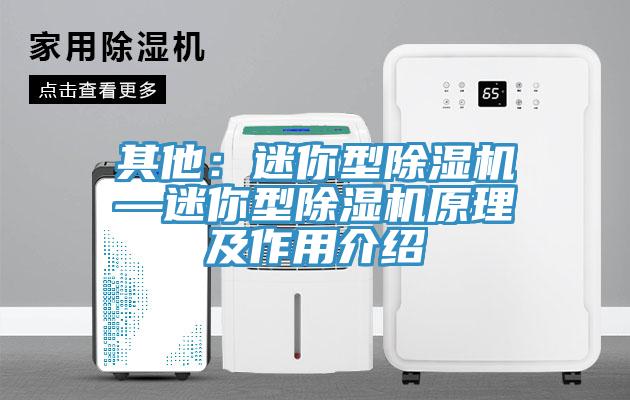 其他：迷你型除濕機—迷你型除濕機原理及作用介紹