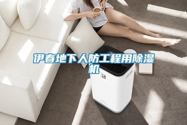 伊春地下人防工程用除濕機