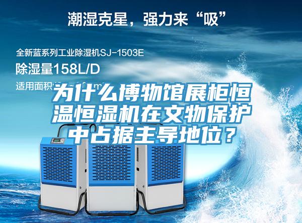 為什么博物館展柜恒溫恒濕機(jī)在文物保護(hù)中占據(jù)主導(dǎo)地位？