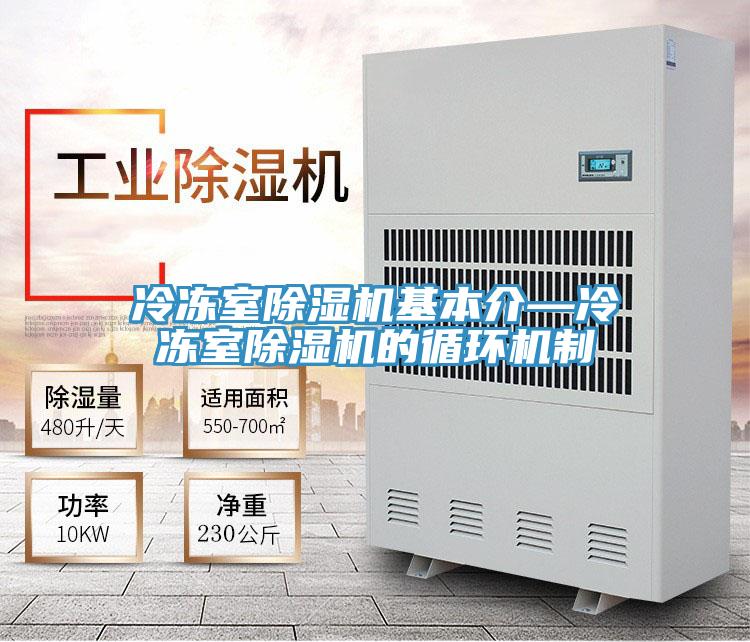 冷凍室除濕機基本介—冷凍室除濕機的循環機制