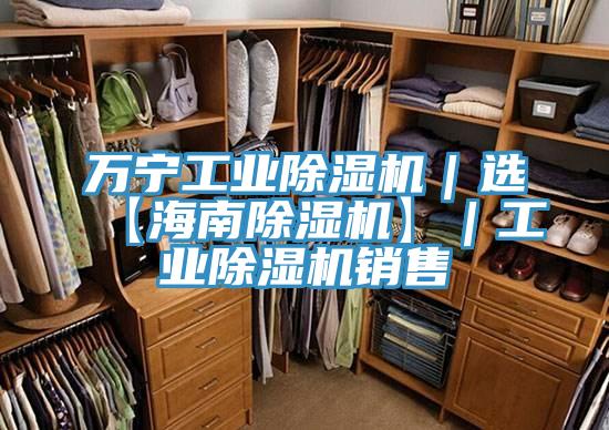 萬寧工業(yè)除濕機(jī)｜選【海南除濕機(jī)】｜工業(yè)除濕機(jī)銷售