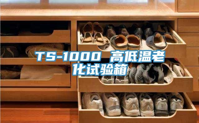 TS-1000 高低溫老化試驗箱