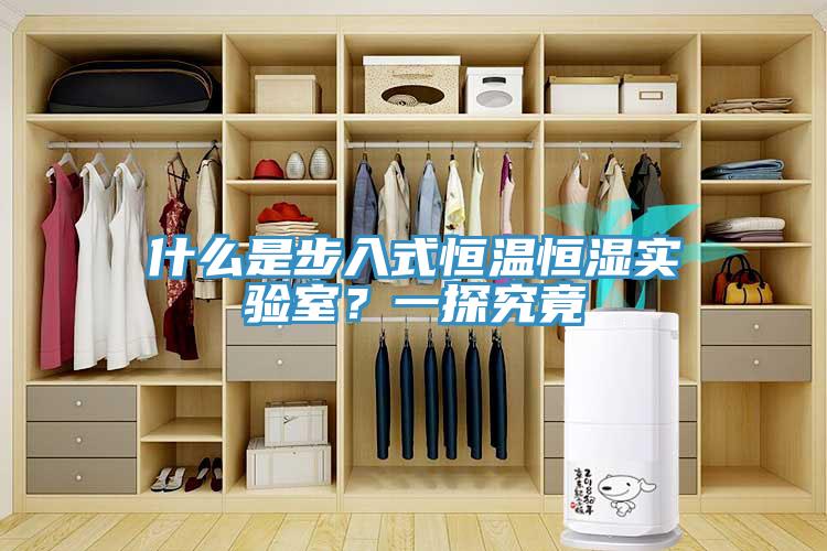 什么是步入式恒溫恒濕實驗室？一探究竟