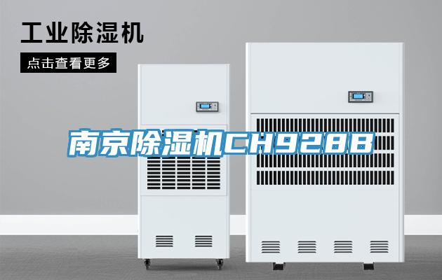 南京除濕機CH928B