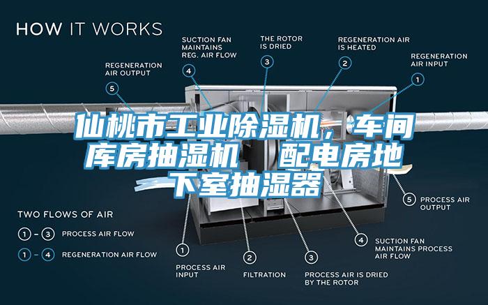 仙桃市工業除濕機，車間庫房抽濕機  配電房地下室抽濕器