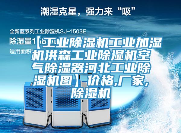 【工業除濕機工業加濕機洪森工業除濕機空氣除濕器河北工業除濕機圖】價格,廠家,除濕機