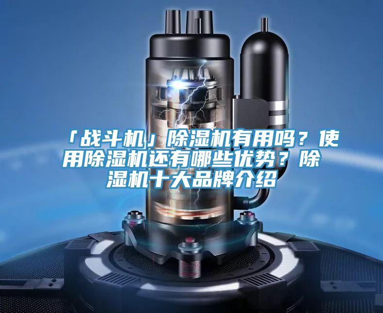 「戰斗機」除濕機有用嗎？使用除濕機還有哪些優勢？除濕機十大品牌介紹