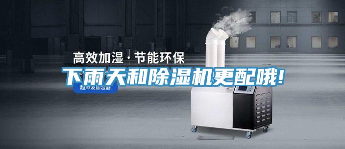 下雨天和除濕機更配哦!