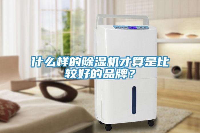 什么樣的除濕機才算是比較好的品牌？