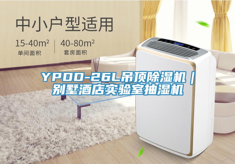 YPDD-26L吊頂除濕機｜別墅酒店實驗室抽濕機