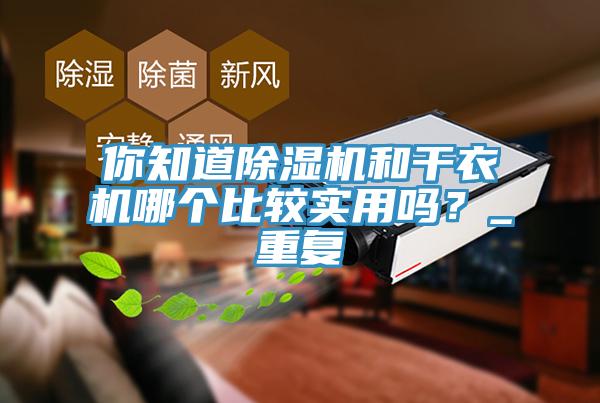 你知道除濕機(jī)和干衣機(jī)哪個(gè)比較實(shí)用嗎？_重復(fù)
