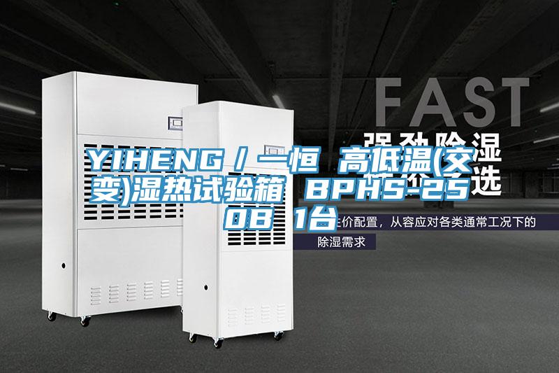 YIHENG／一恒 高低溫(交變)濕熱試驗箱 BPHS-250B 1臺