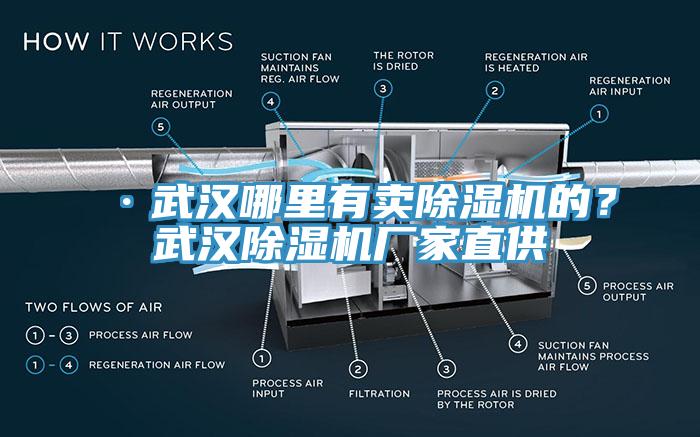 ·武漢哪里有賣除濕機(jī)的？武漢除濕機(jī)廠家直供