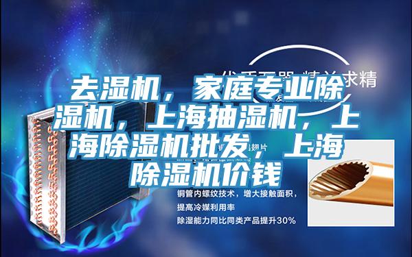 去濕機，家庭專業除濕機，上海抽濕機，上海除濕機批發，上海除濕機價錢