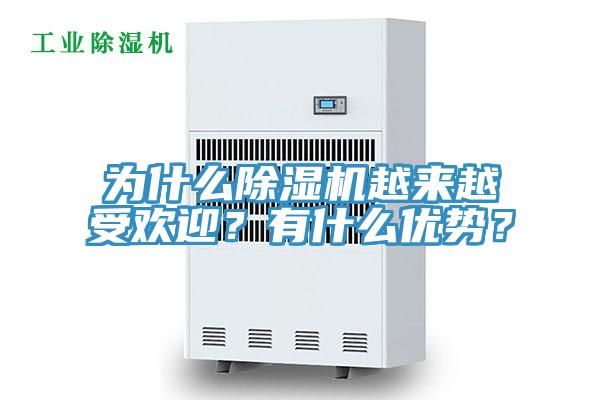 為什么除濕機越來越受歡迎？有什么優勢？