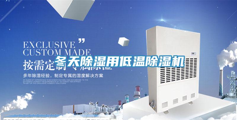 冬天除濕用低溫除濕機