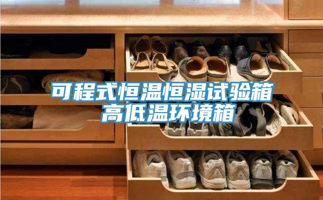 可程式恒溫恒濕試驗箱 高低溫環境箱