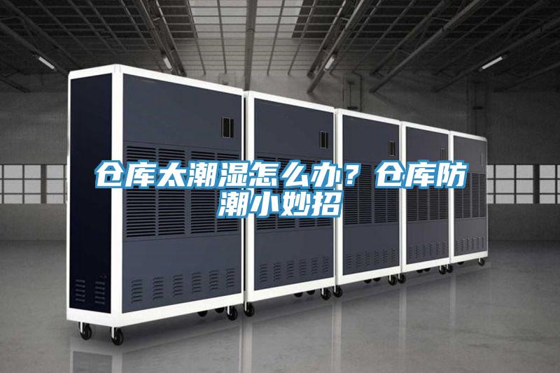 倉庫太潮濕怎么辦?倉庫防潮小妙招