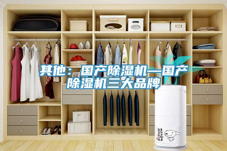其他：國產(chǎn)除濕機—國產(chǎn)除濕機三大品牌