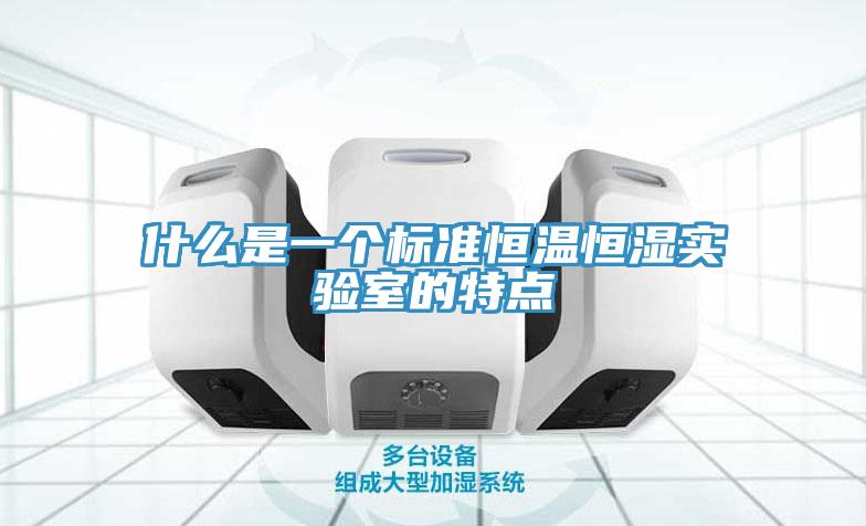 什么是一個標準恒溫恒濕實驗室的特點