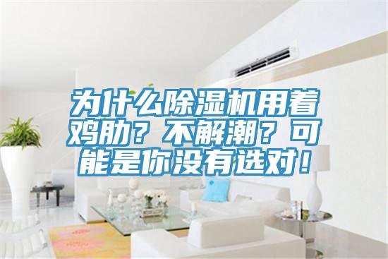 為什么除濕機用著雞肋？不解潮？可能是你沒有選對！