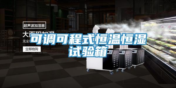可調可程式恒溫恒濕試驗箱