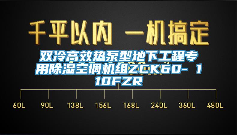 雙冷高效熱泵型地下工程專用除濕空調機組ZCK60- 110FZR
