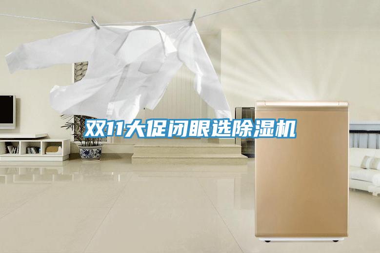 雙11大促閉眼選除濕機