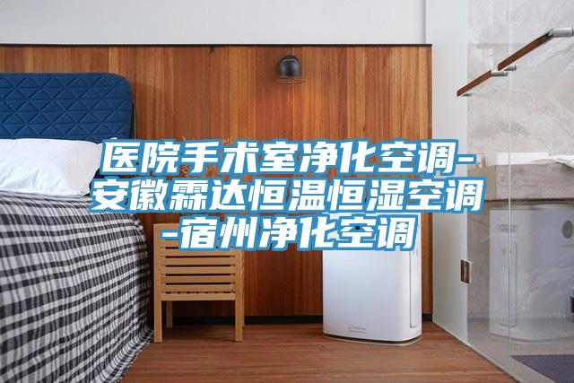醫(yī)院手術(shù)室凈化空調(diào)-安徽霖達恒溫恒濕空調(diào)-宿州凈化空調(diào)