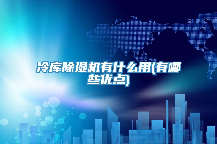 冷庫除濕機有什么用(有哪些優點)