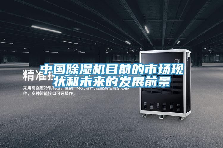 中國除濕機目前的市場現狀和未來的發展前景