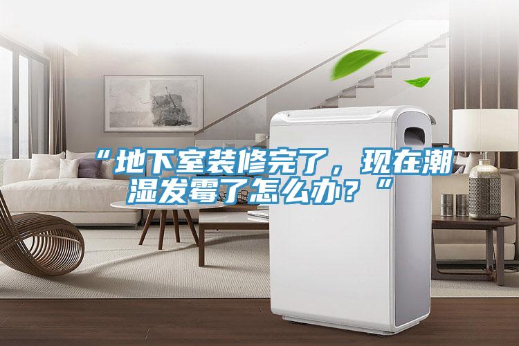 “地下室裝修完了，現(xiàn)在潮濕發(fā)霉了怎么辦？”