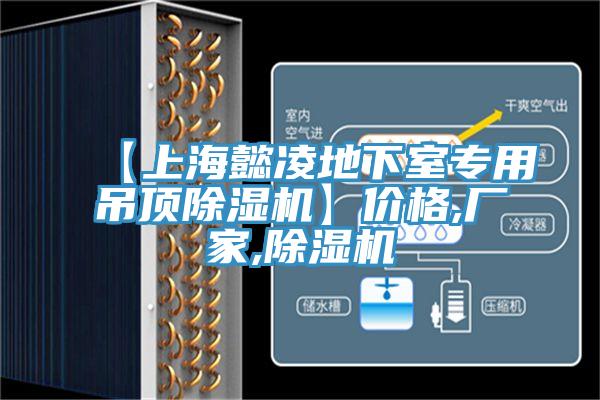 【上海懿凌地下室專用吊頂除濕機】價格,廠家,除濕機