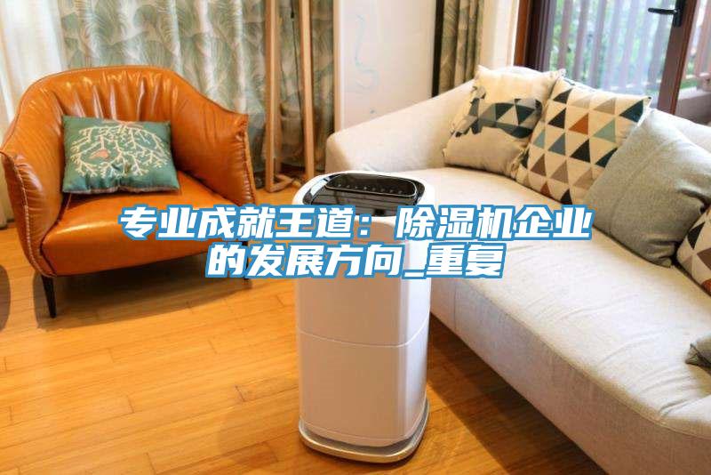 專業成就王道：除濕機企業的發展方向_重復
