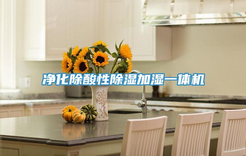凈化除酸性除濕加濕一體機