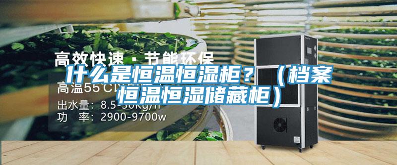 什么是恒溫恒濕柜？（檔案恒溫恒濕儲藏柜）