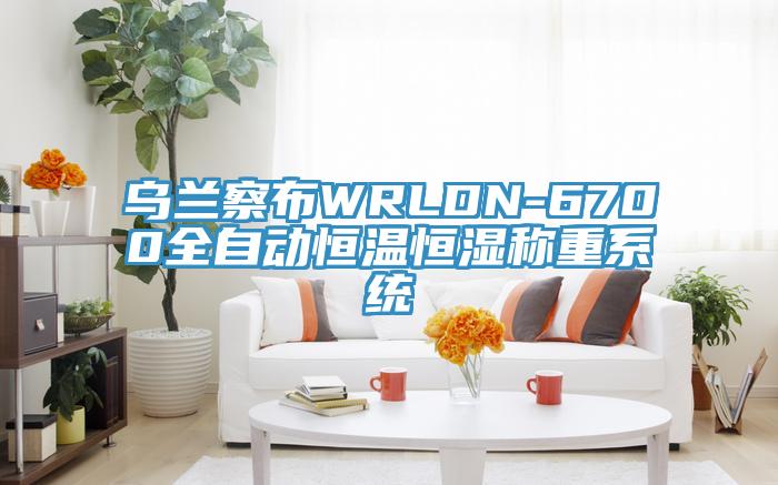 烏蘭察布WRLDN-6700全自動恒溫恒濕稱重系統(tǒng)