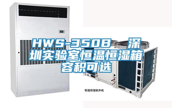 HWS-350B  深圳實(shí)驗(yàn)室恒溫恒濕箱容積可選