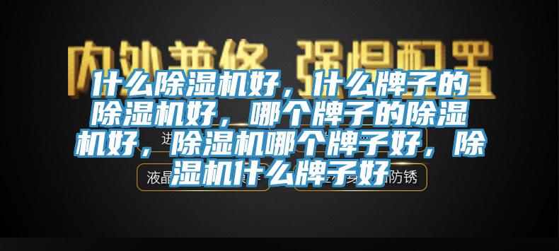 什么除濕機好，什么牌子的除濕機好，哪個牌子的除濕機好，除濕機哪個牌子好，除濕機什么牌子好