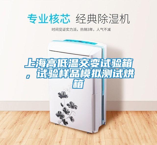 上海高低溫交變試驗箱，試驗樣品模擬測試烘箱