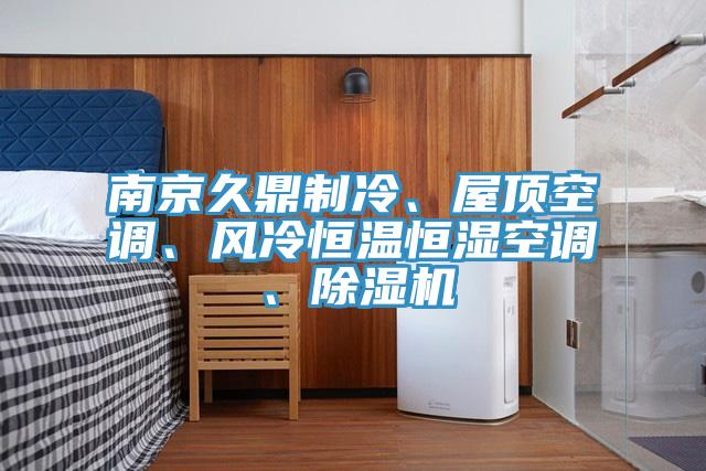 南京久鼎制冷、屋頂空調、風冷恒溫恒濕空調、除濕機