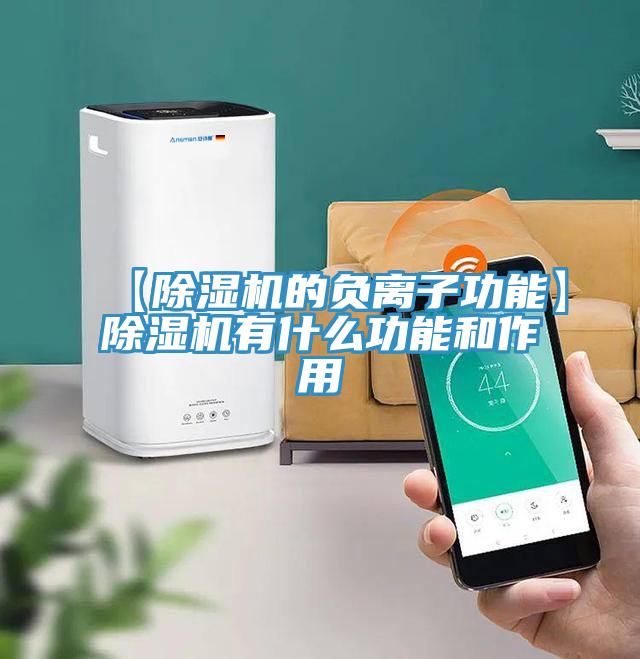 【除濕機的負離子功能】除濕機有什么功能和作用